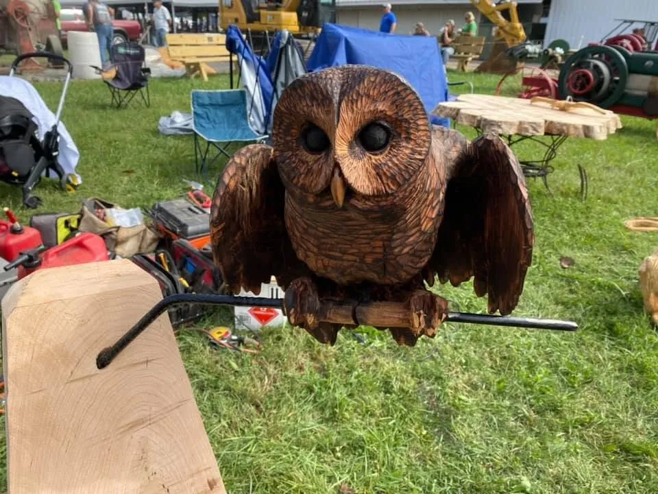 Barn Owl With Open Wings