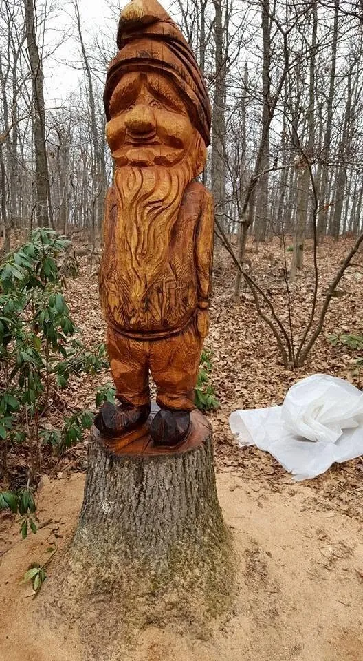 Wizard Face With Long Beard